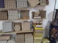 Линия по производству упаковки для яиц Линия по производству упаковки для яиц